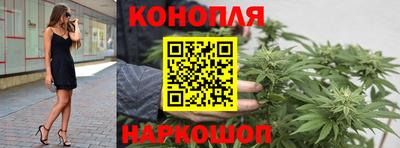 гашик Кунгур