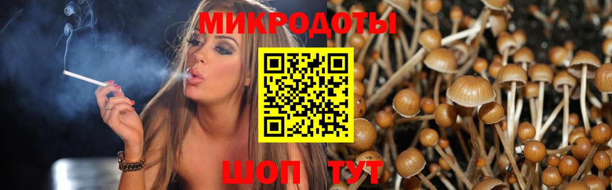 Псилоцибиновые грибы Cubensis Канаш