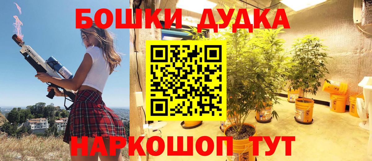 Конопля марихуана Канаш
